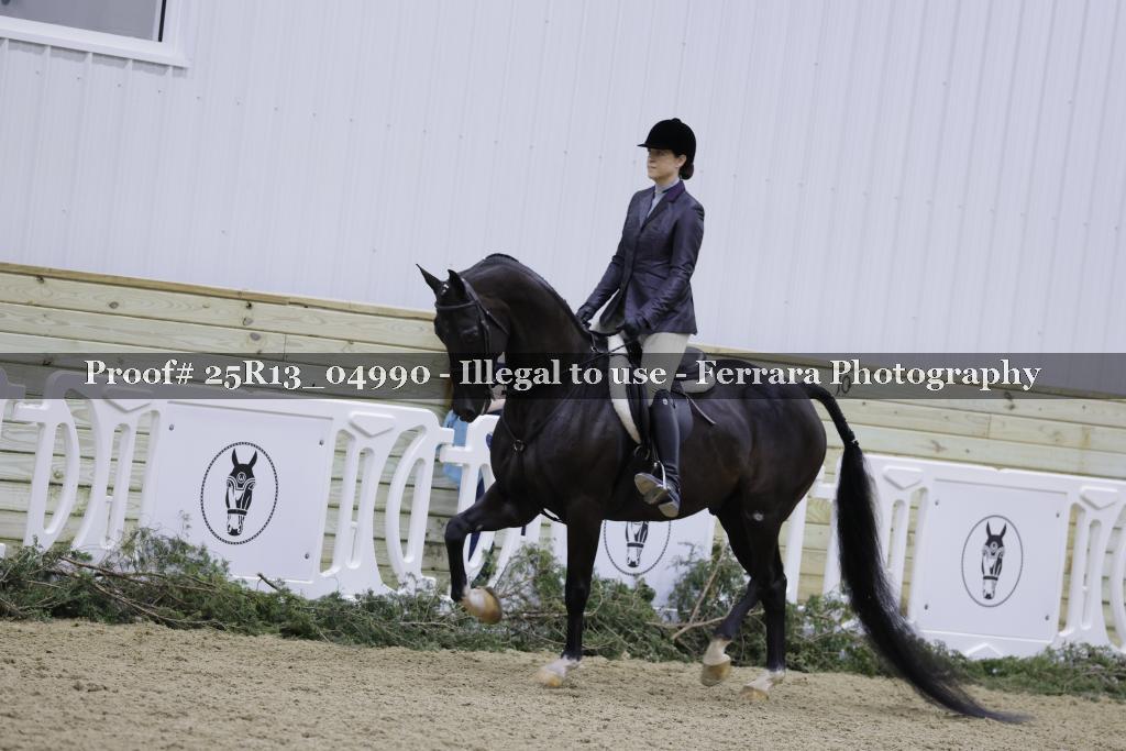 Proof Number 25R13_04990