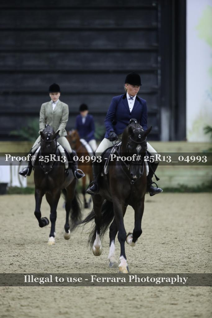 Proof Number 25R13_04993