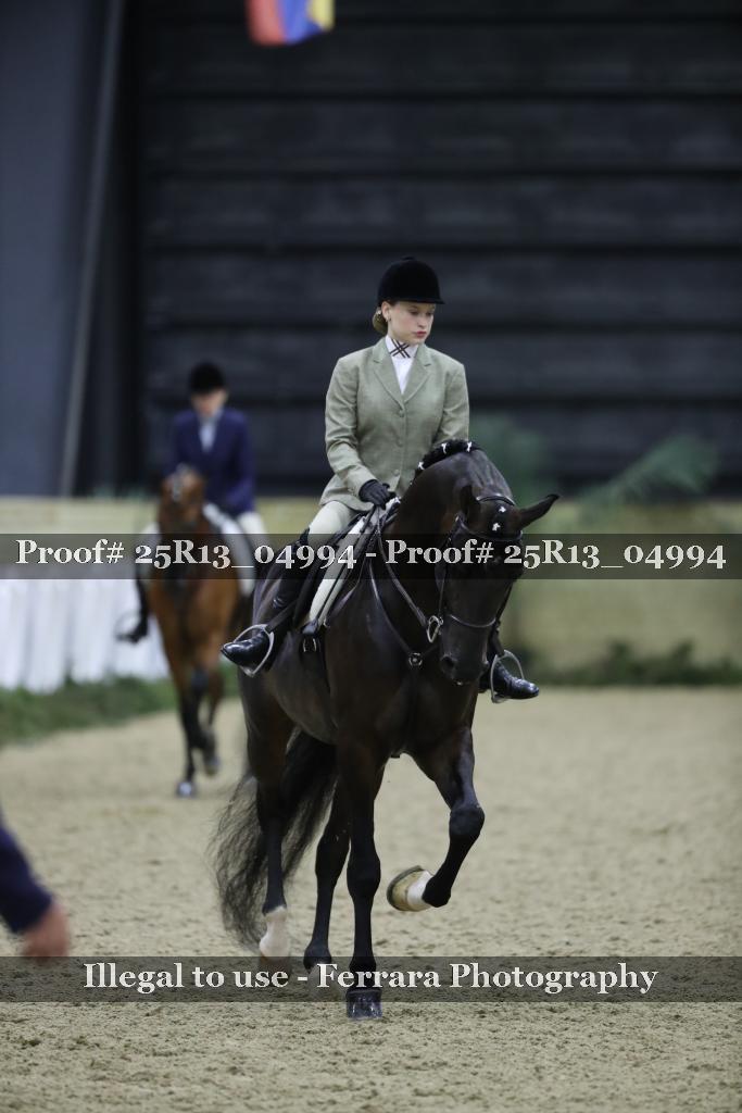 Proof Number 25R13_04994