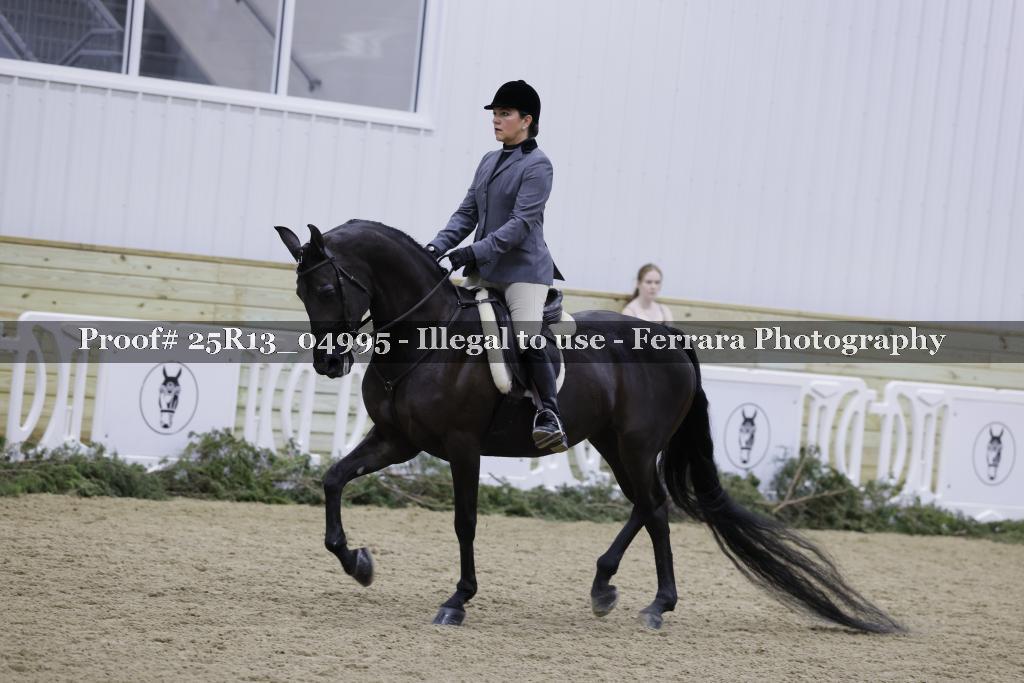 Proof Number 25R13_04995