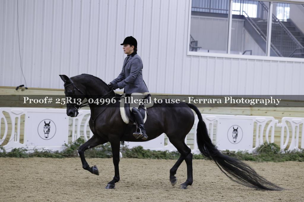 Proof Number 25R13_04996