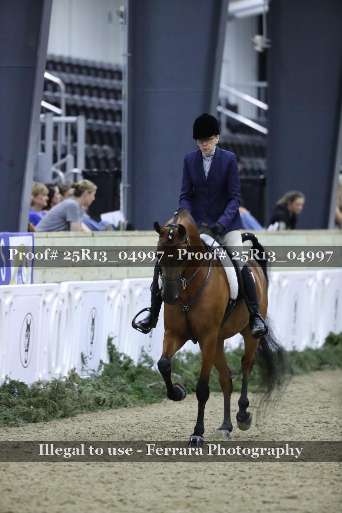 Proof Number 25R13_04997