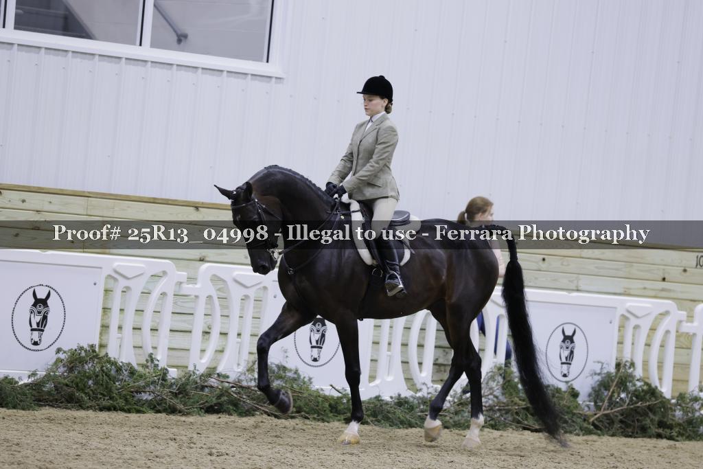 Proof Number 25R13_04998