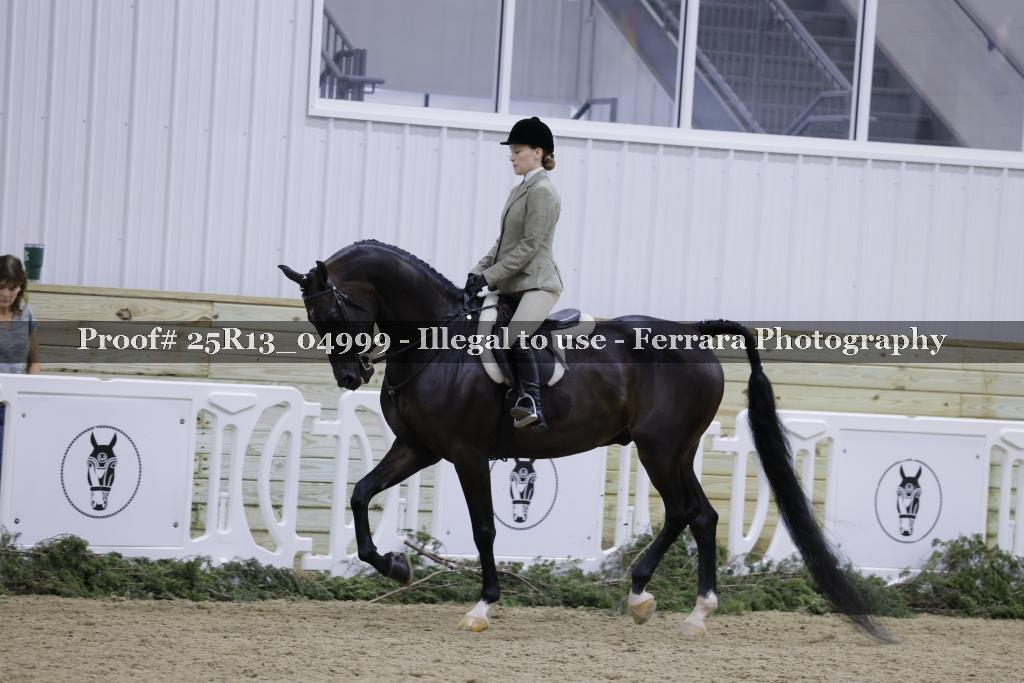 Proof Number 25R13_04999