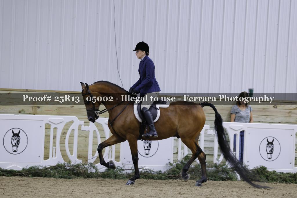 Proof Number 25R13_05002