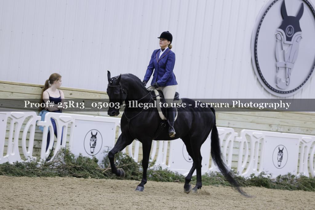 Proof Number 25R13_05003