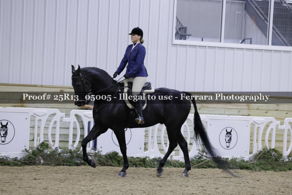 Proof Number 25R13_05005