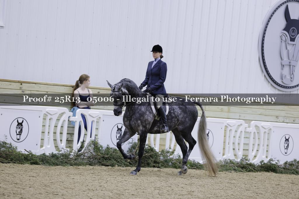 Proof Number 25R13_05006