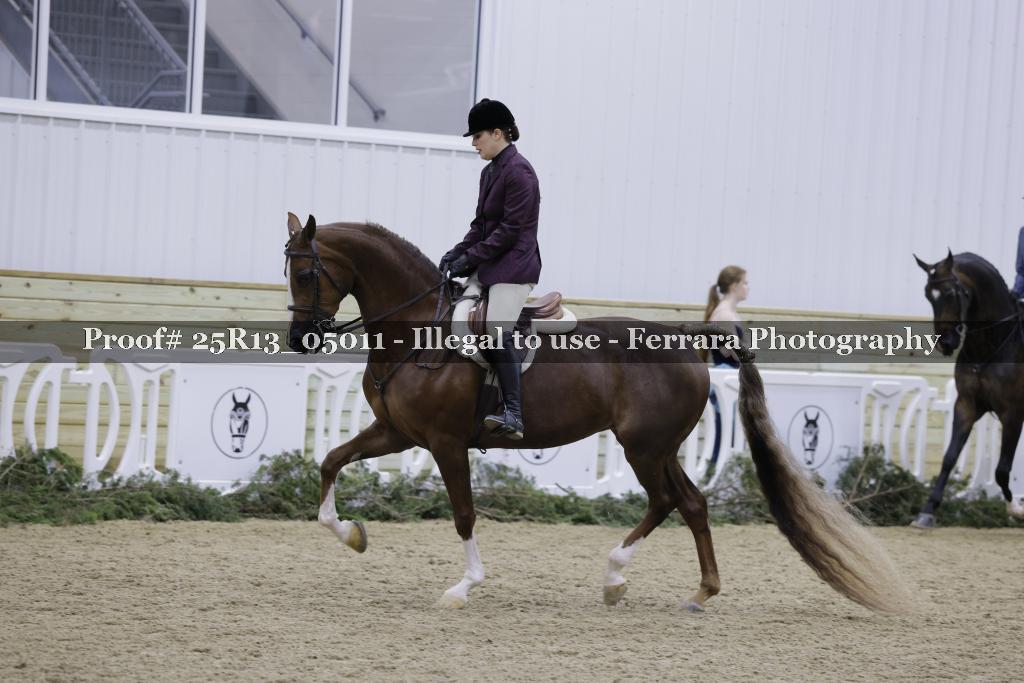 Proof Number 25R13_05011