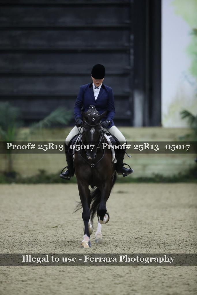 Proof Number 25R13_05017