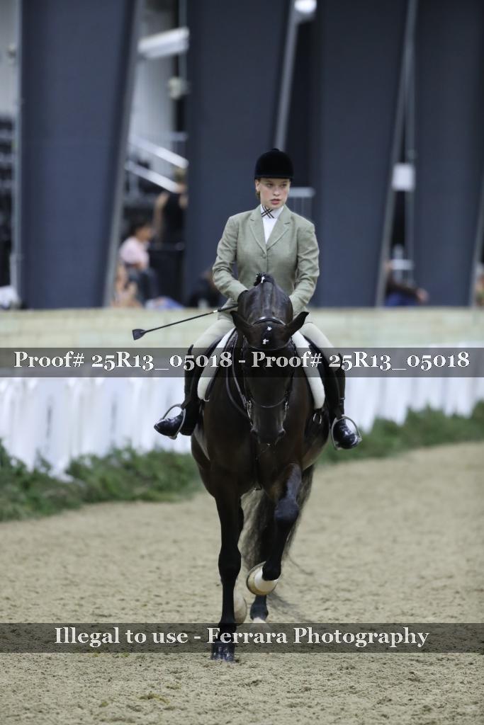 Proof Number 25R13_05018
