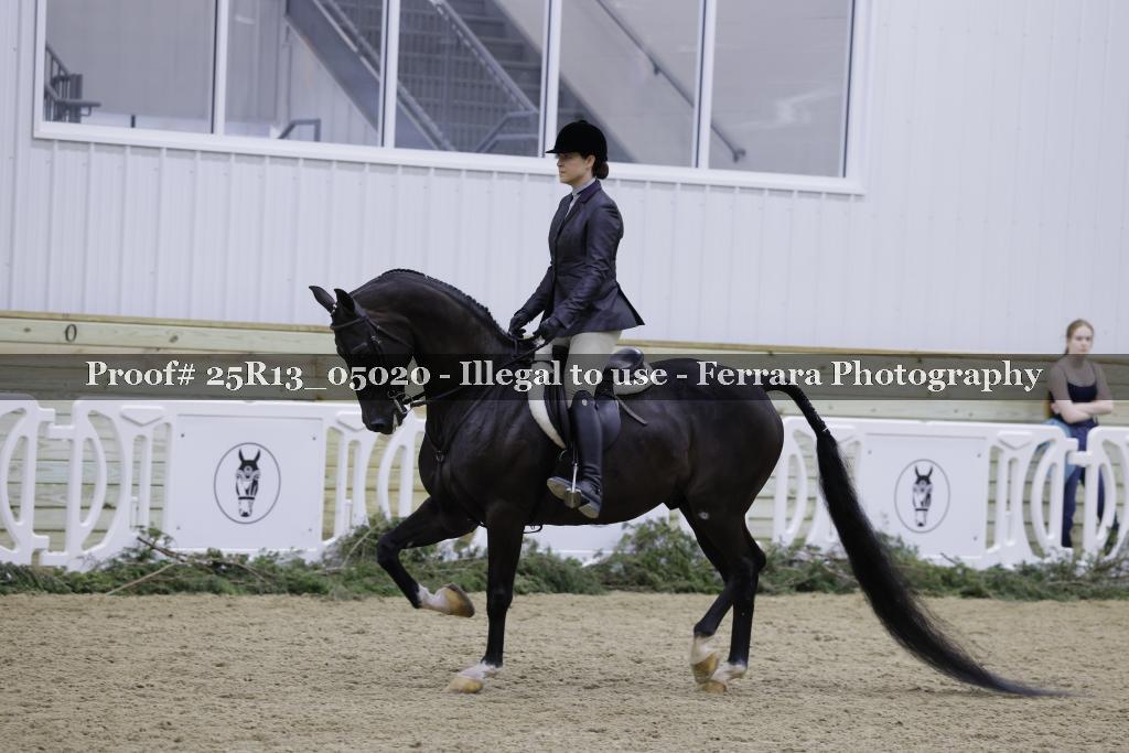 Proof Number 25R13_05020