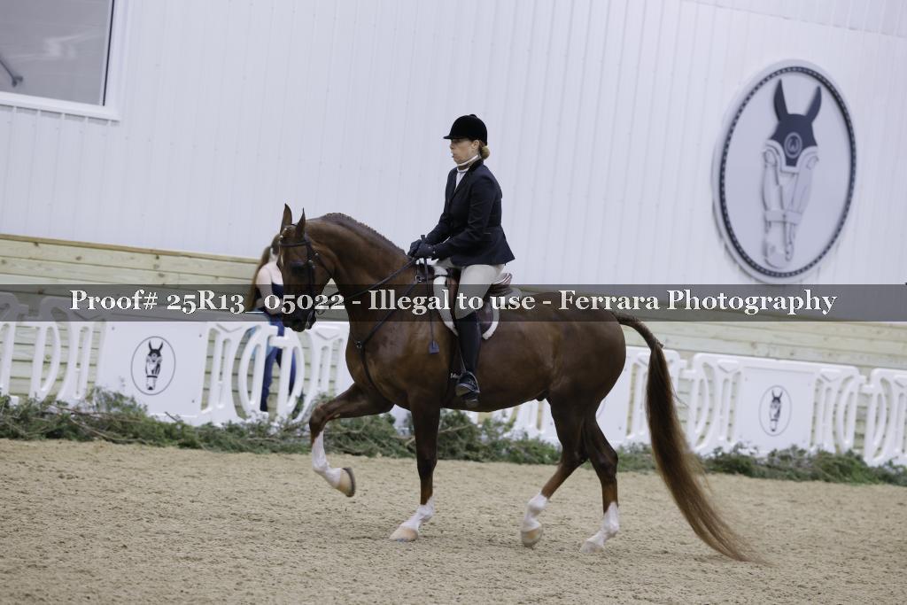 Proof Number 25R13_05022