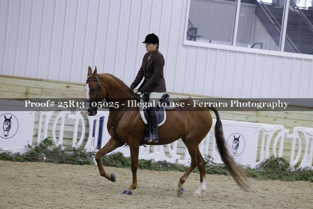 Proof Number 25R13_05025