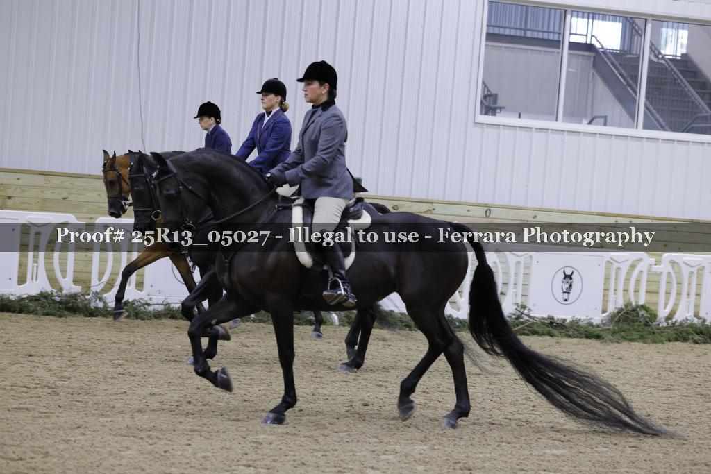 Proof Number 25R13_05027