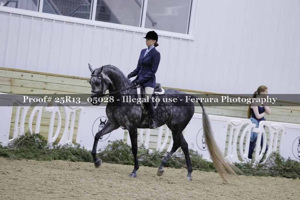 Proof Number 25R13_05028