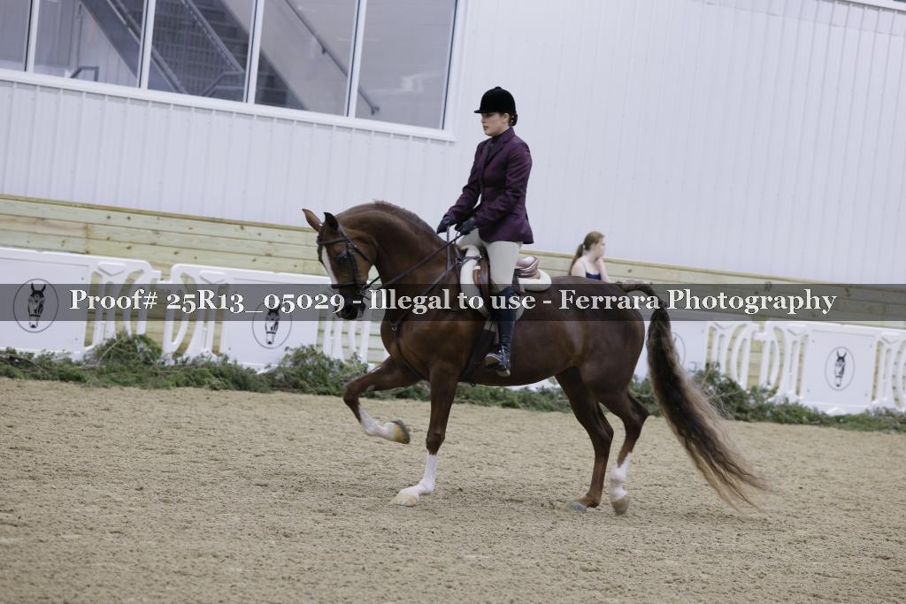 Proof Number 25R13_05029