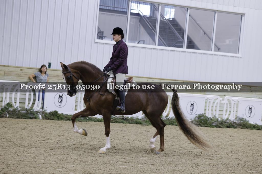 Proof Number 25R13_05030