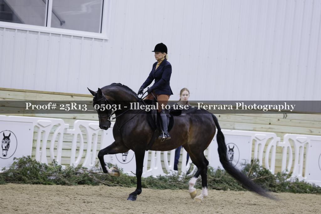 Proof Number 25R13_05031