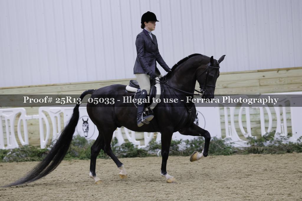 Proof Number 25R13_05033