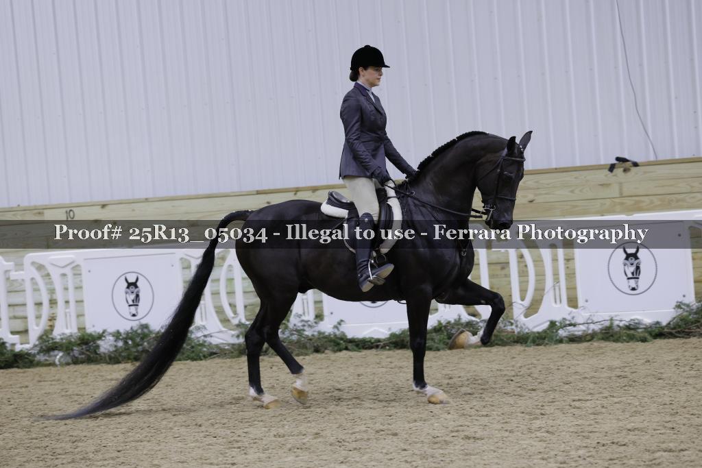 Proof Number 25R13_05034