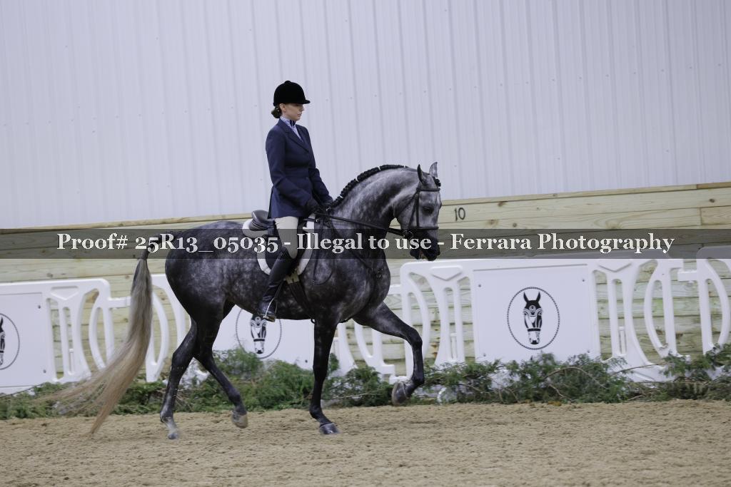 Proof Number 25R13_05035