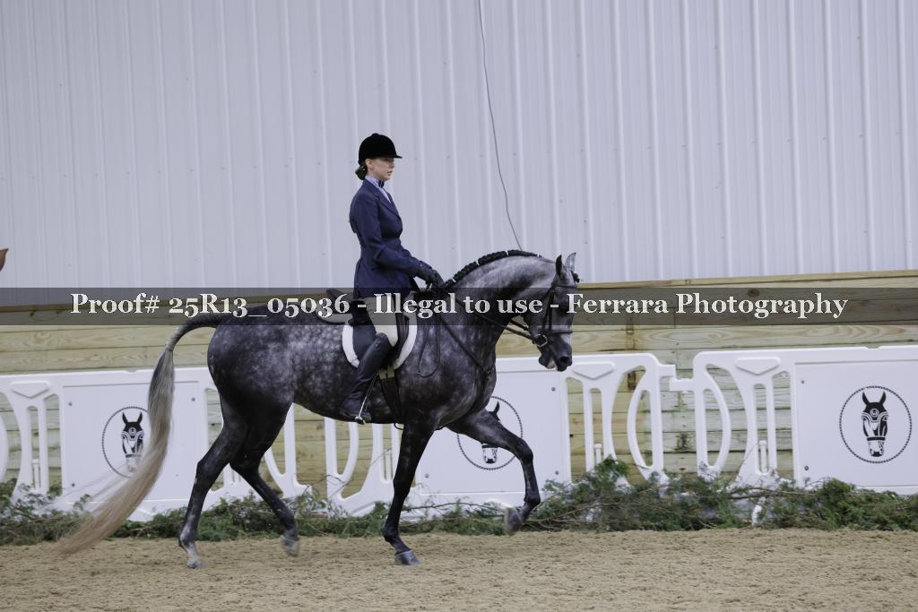 Proof Number 25R13_05036