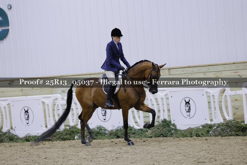 Proof Number 25R13_05037
