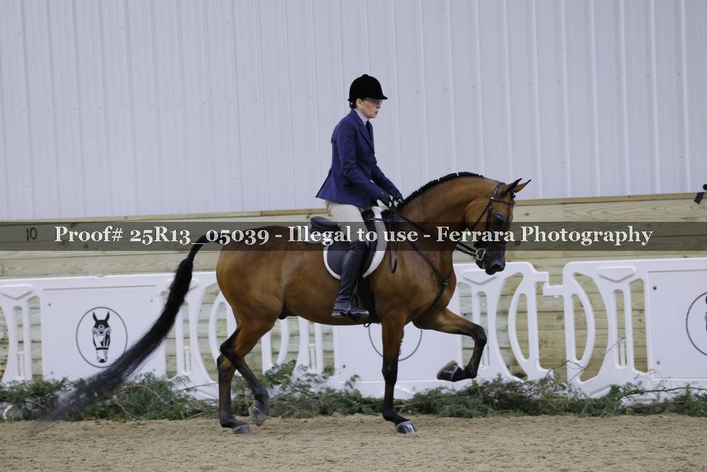 Proof Number 25R13_05039