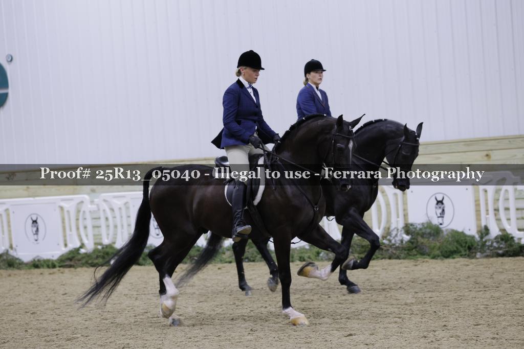 Proof Number 25R13_05040