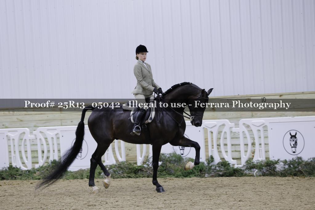 Proof Number 25R13_05042