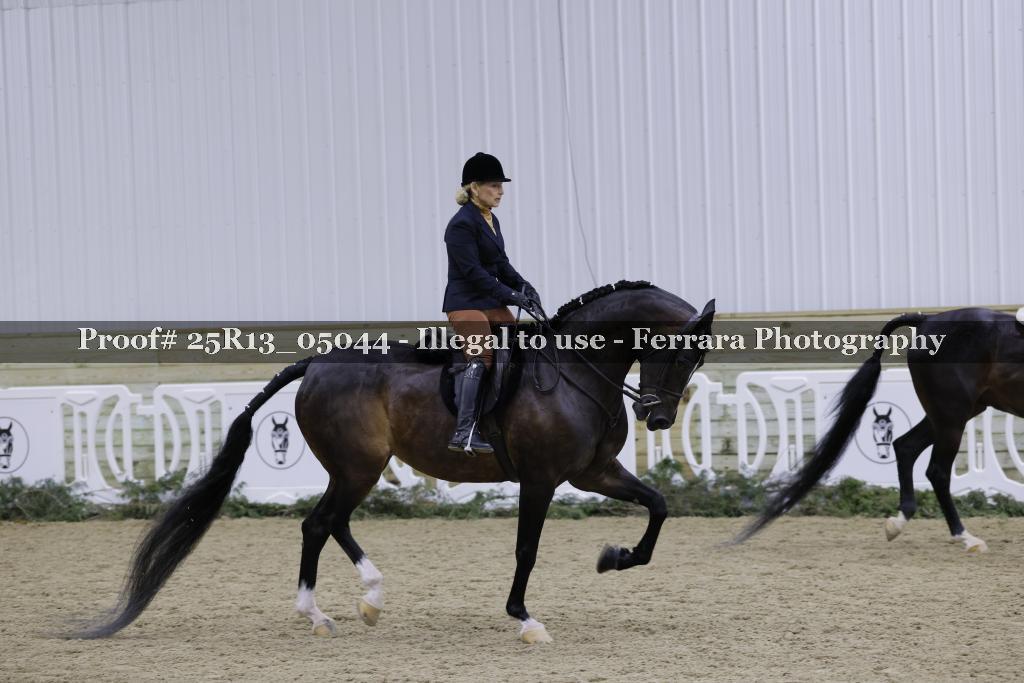 Proof Number 25R13_05044