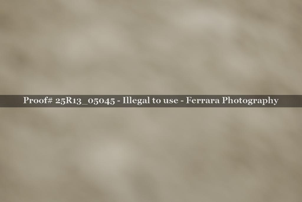 Proof Number 25R13_05045