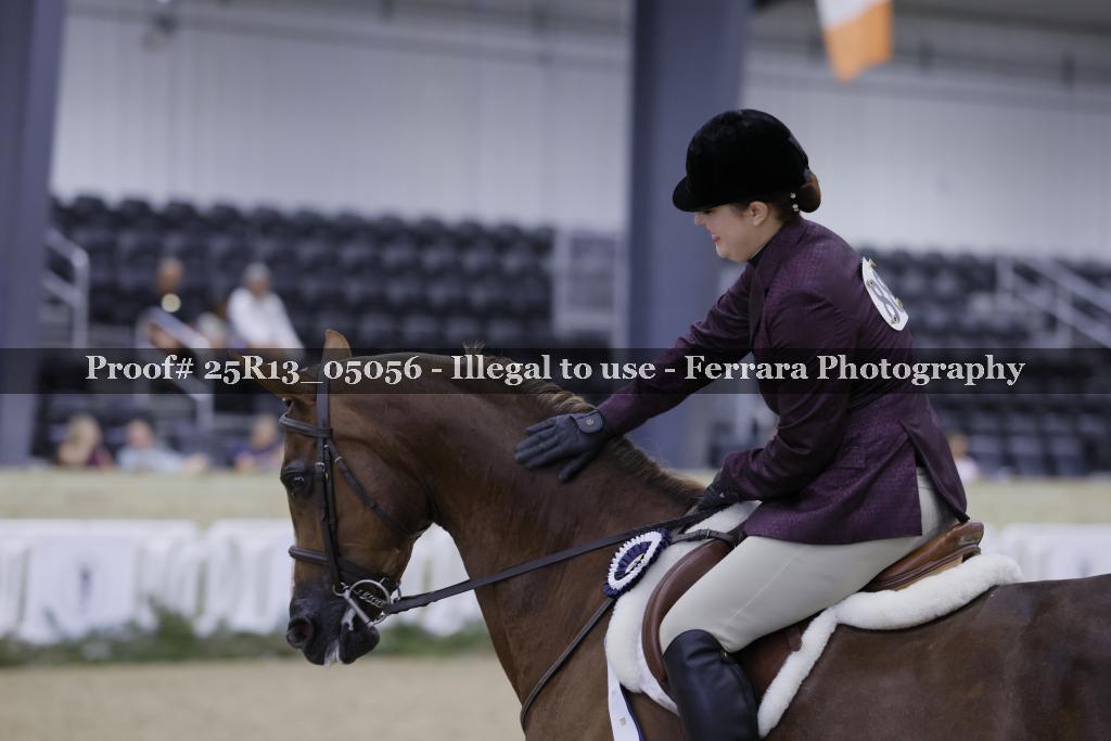 Proof Number 25R13_05056