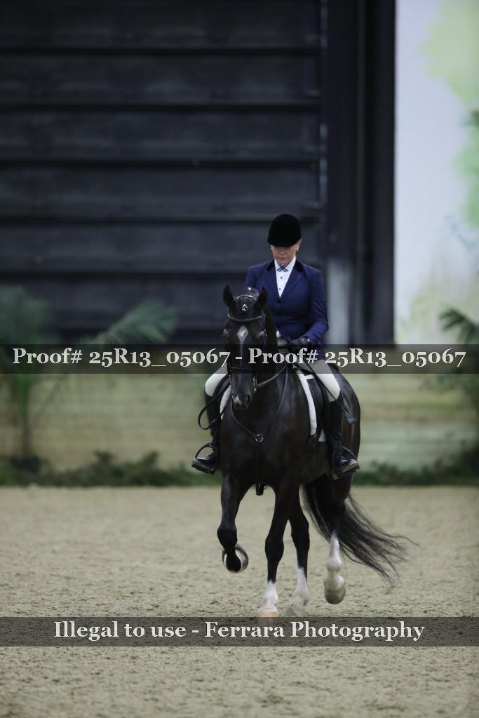 Proof Number 25R13_05067