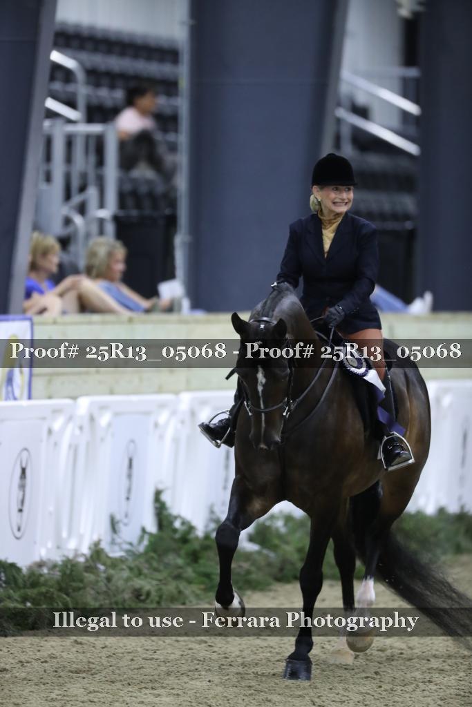 Proof Number 25R13_05068