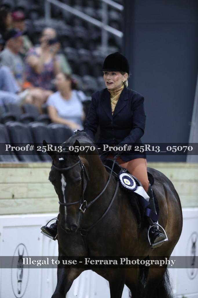Proof Number 25R13_05070
