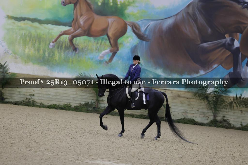 Proof Number 25R13_05071