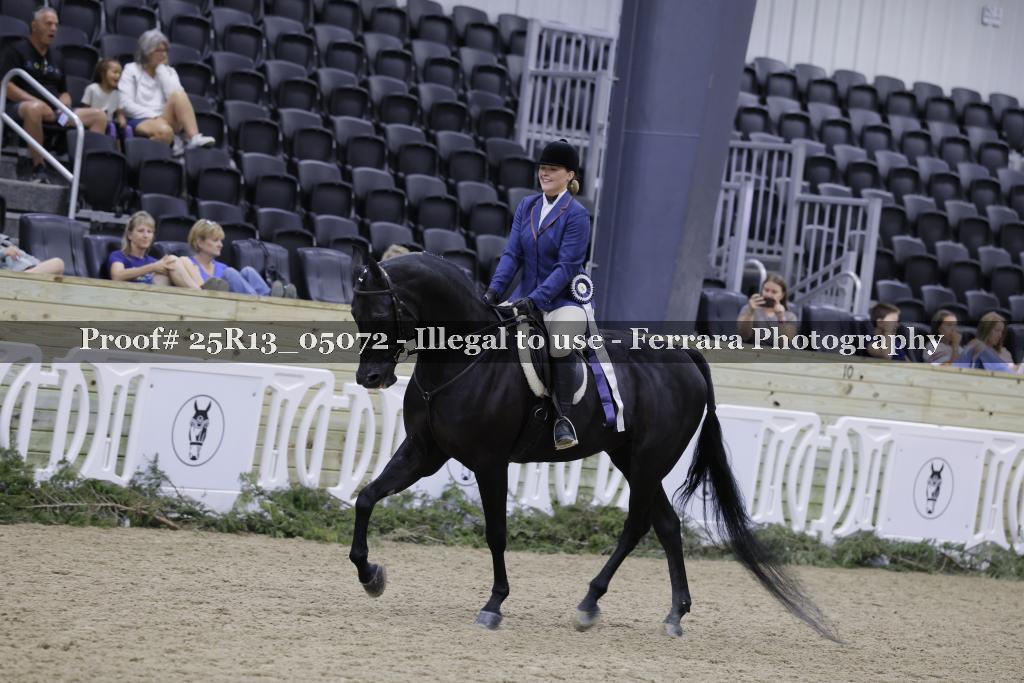 Proof Number 25R13_05072