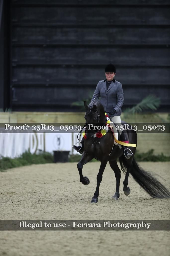 Proof Number 25R13_05073