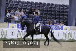 25R13_05074 thumbnail