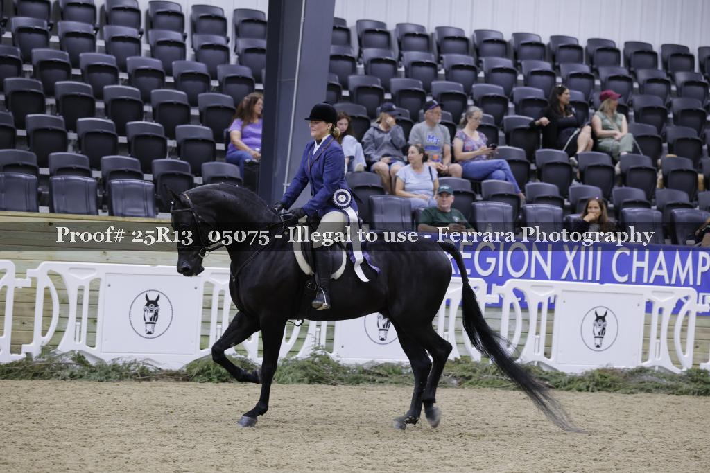 Proof Number 25R13_05075