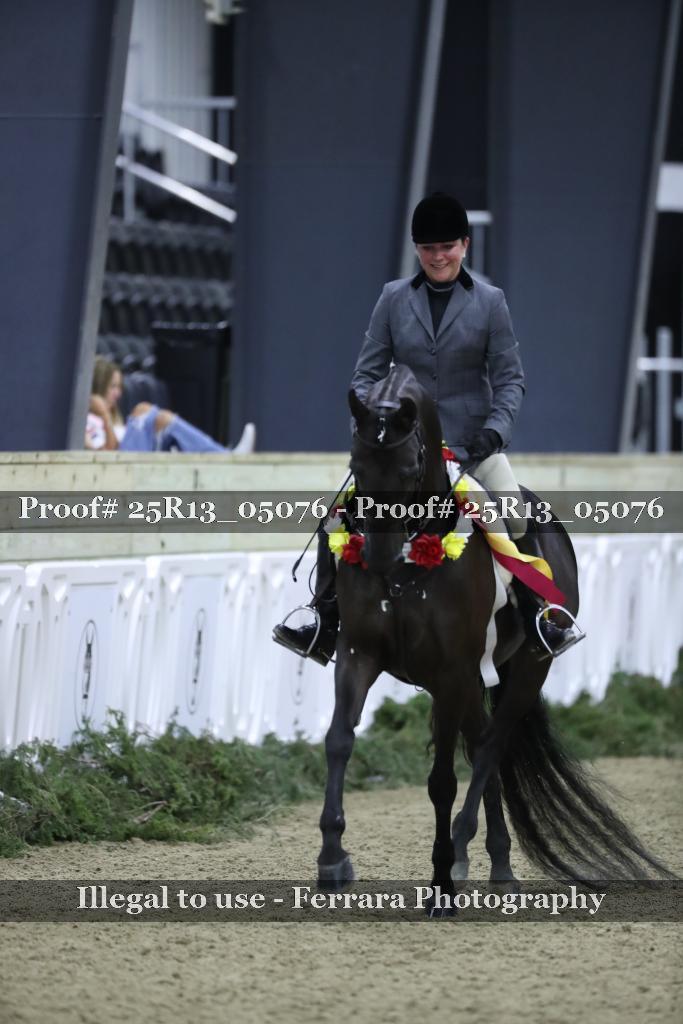 Proof Number 25R13_05076