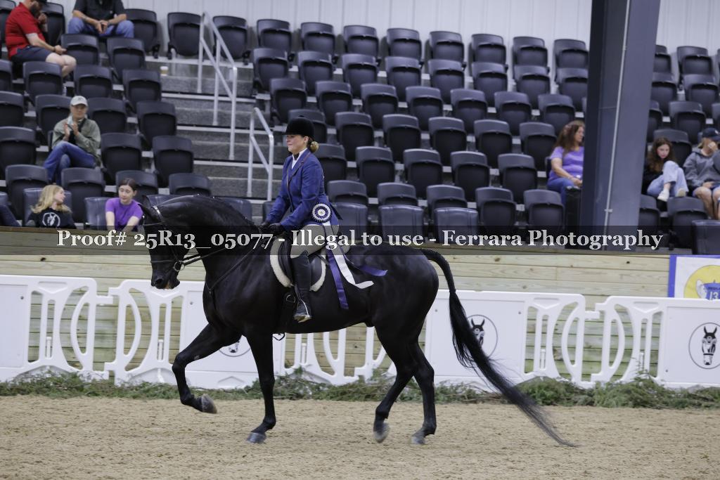 Proof Number 25R13_05077