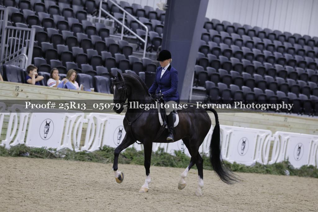 Proof Number 25R13_05079