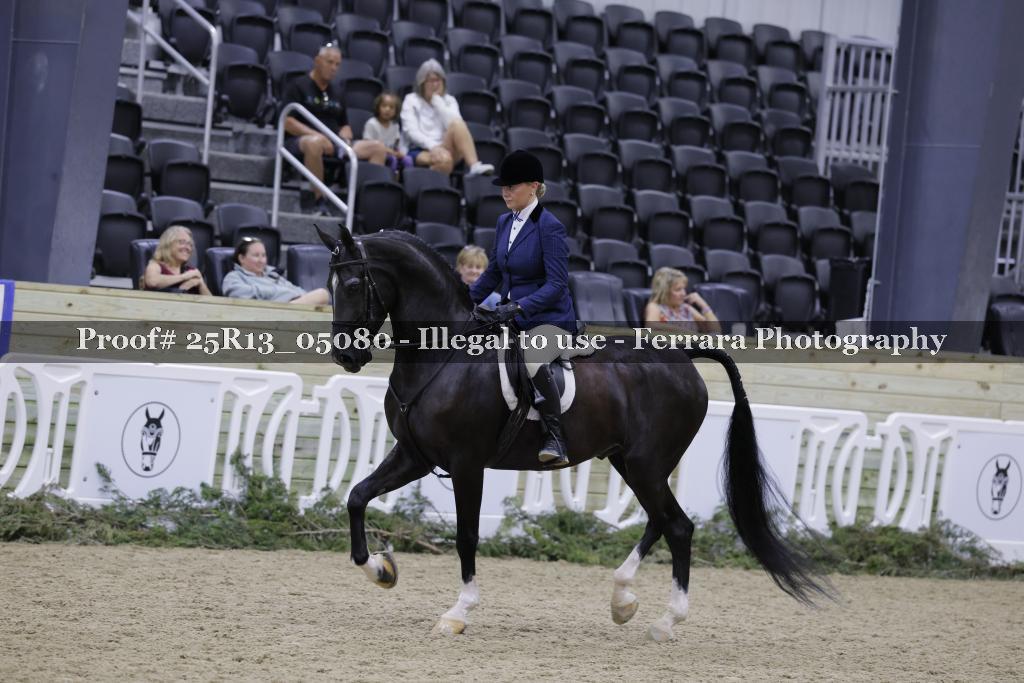 Proof Number 25R13_05080