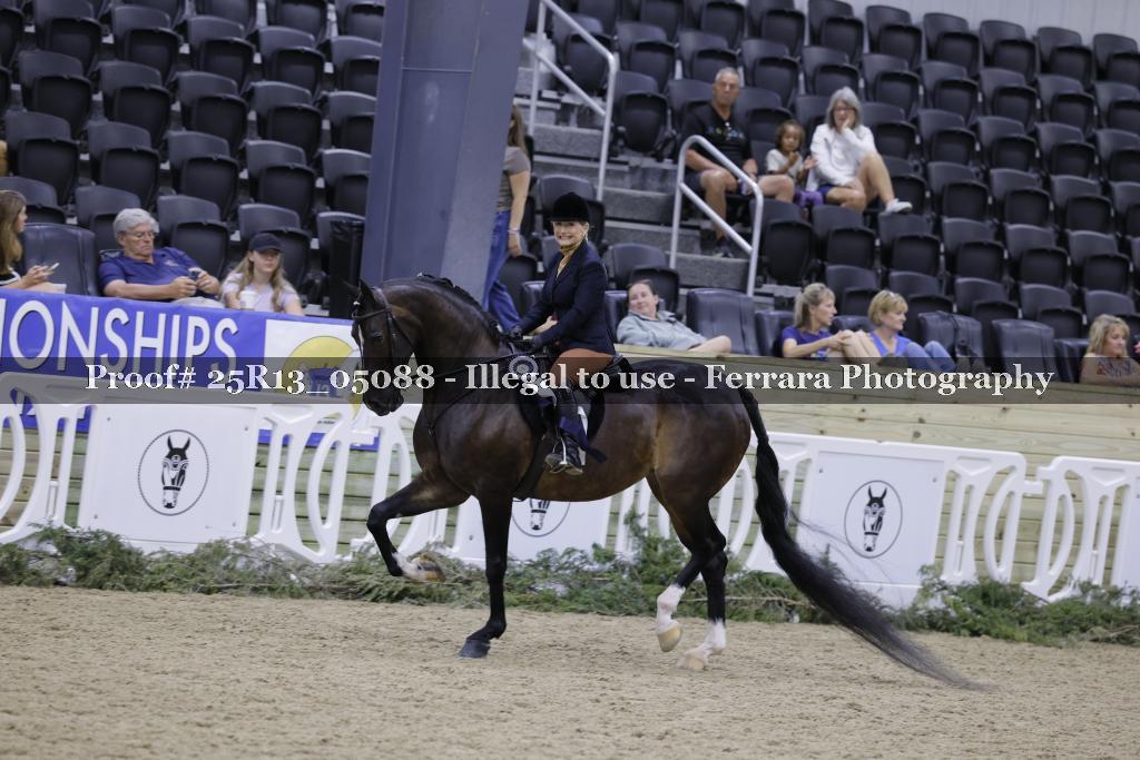 Proof Number 25R13_05088