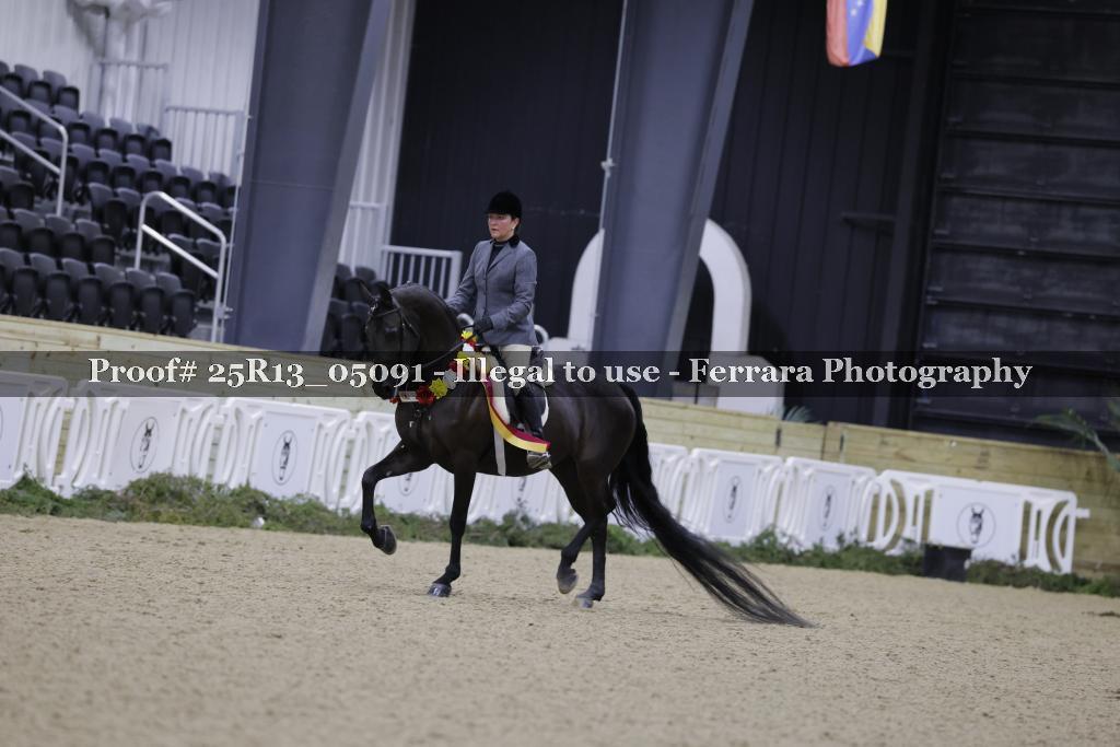 Proof Number 25R13_05091
