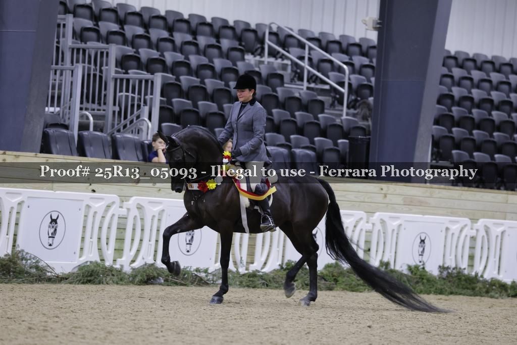 Proof Number 25R13_05093