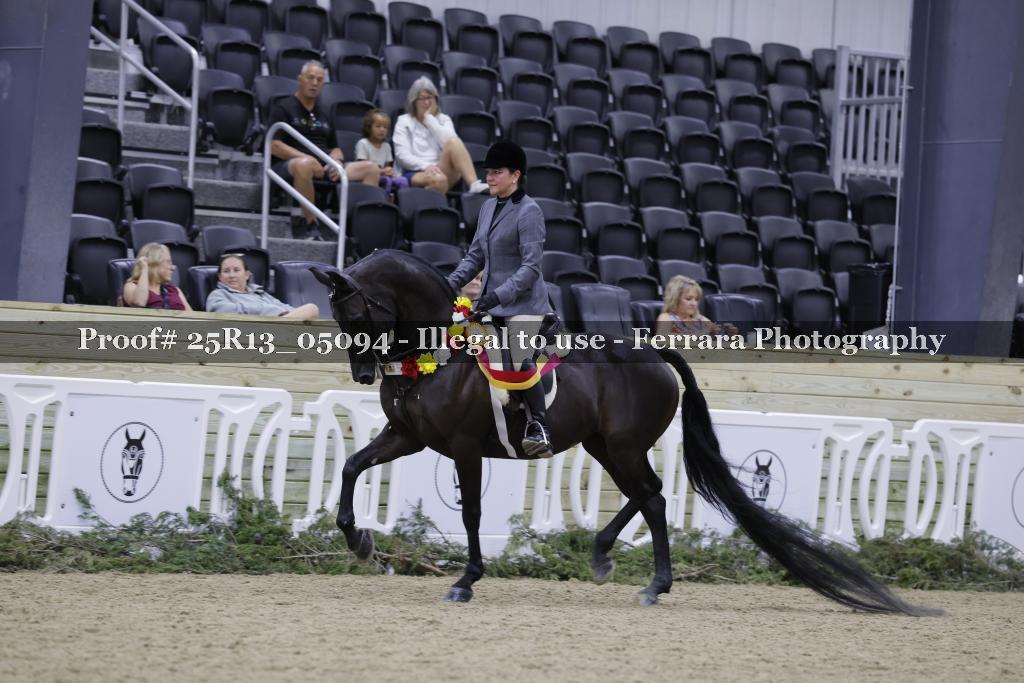 Proof Number 25R13_05094